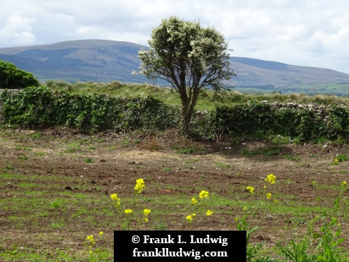 Culleenamore, County Sligo